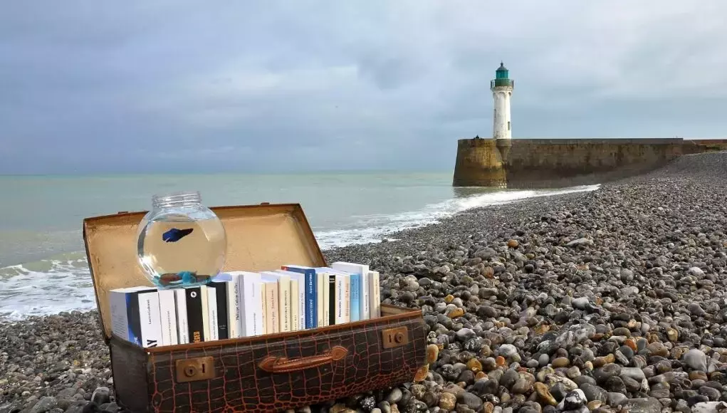 Suggerimenti di Lettura per le Vacanze Estive: Tra Spiaggia e Cima