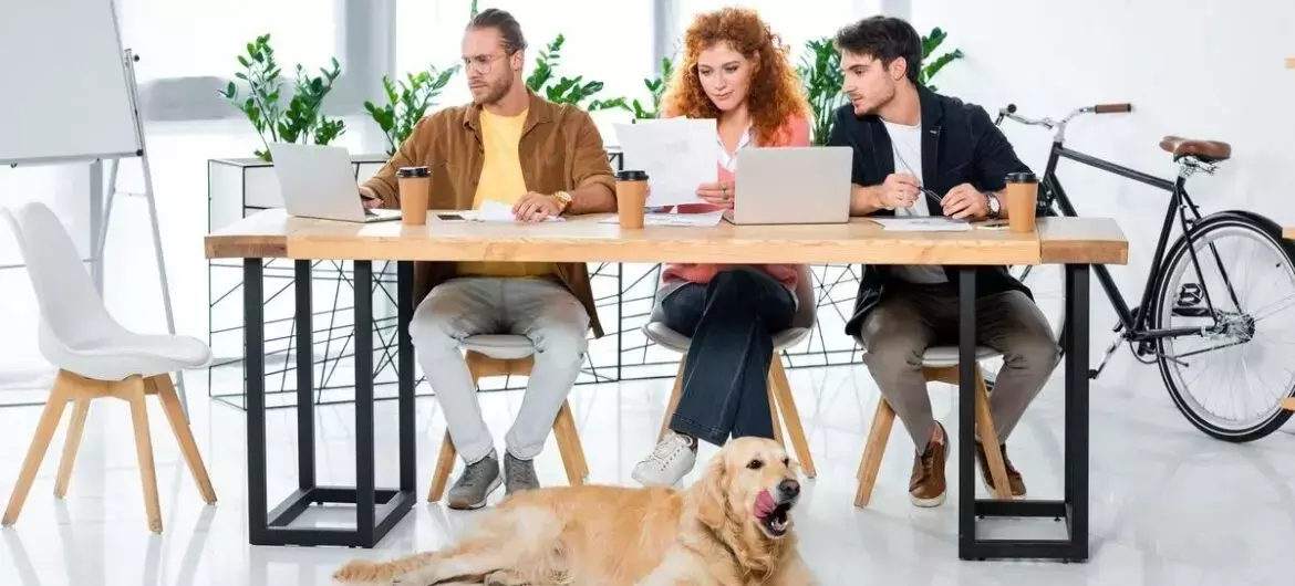 Cani in Ufficio: Un Vantaggio per il Clima Aziendale e il Benessere dei Dipendenti