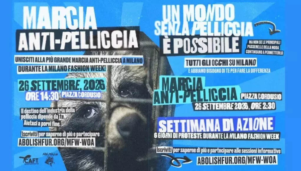 Attivisti in Marcia a Milano Contro l'Uso delle Pellicce nella Moda
