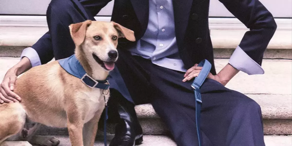 Eleganza Canina: La Nuova Collezione Armani x Poldo Dog Couture per l'Autunno