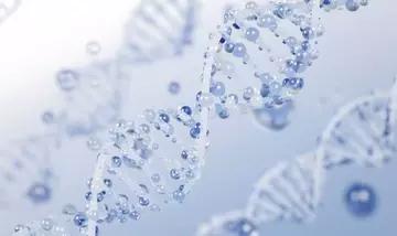 PDRN: L'Innovazione nella Cosmesi Rigenerativa e Anti-Età