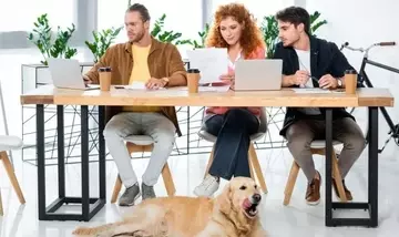 Cani in Ufficio: Un Vantaggio per il Clima Aziendale e il Benessere dei Dipendenti