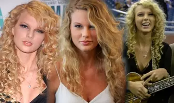 Insetti Australiani Riscoperti e Battezzati in Onore di Taylor Swift