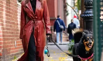 Il Potere Terapeutico del Legame Cane-Umano: Benefici della Dog Therapy per il Benessere Psicofisico