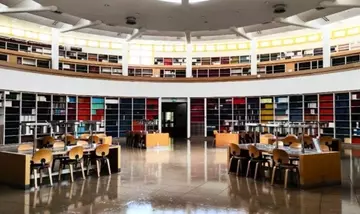 “INTRECCI ON AIR”: La Scienza di Bologna Arriva in Radio