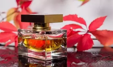 Profumi Autunnali: Essenze che Abbracciano e Incantano