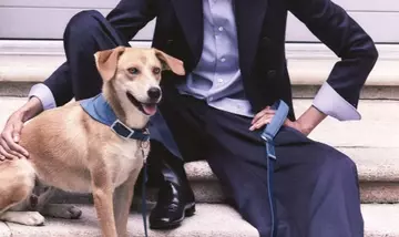 Eleganza Canina: La Nuova Collezione Armani x Poldo Dog Couture per l'Autunno