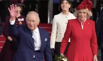 Addobbi Natalizi Regali a Windsor: Carlo e Camilla Scelgono l'Albero Reale
